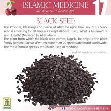 Pin On Seed Ideas