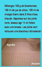 Epingle Par Bri Sur Astuces Detournement Produits Menagers Conseils D Entretien Menager Nettoyage Toilette