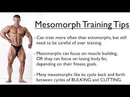 7 Day Proven Diet And Exercise Plan For Endomorph Females