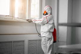 Mold Removal Service in Waller TX | Fast & Reliable