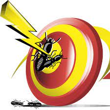 Many of the decodes over the past couple of weeks have hammered in the gravity of the truth about haiti and what it will do to the. Buggsies Pest Services Inc Home Facebook