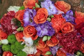 We did not find results for: 8 420 Orange Purple Wedding Photos Free Royalty Free Stock Photos From Dreamstime