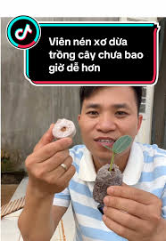 Giá rẻ trồng vườn rau mini dễ dàng