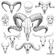 New users enjoy 60% off. 7 586 Animal Cow Western Wall Murals Canvas Prints Stickers Wallsheaven