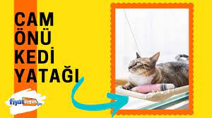cam onu vantuzlu kedi yatagi hemen incele youtube