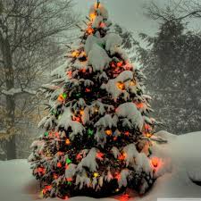 Christmas Wallpaper For Android Christmas Wallpaper For Lenovo 1280x1280 Wallpaper Teahub Io Christmas live wallpaper is beautiful free android animated wallpaper with animated christmas tree, dynamic christmas lights, animated fireplace and much more. christmas wallpaper for lenovo