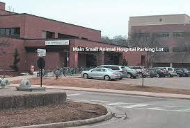 5129 university ave madison, wi 53705. Maps Directions Uw Veterinary Care