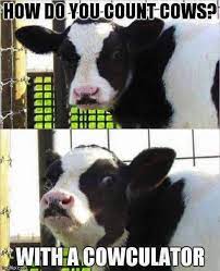 Seeing other people bust out laughing never fails to make me smile. Cowculater Memepile Cheesy Jokes Corny Jokes Funny Pictures