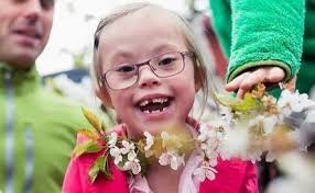 Denise Snook Consultancy