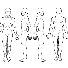 Body Diagram For Professional Massage Chart Front Back Left And Right Views Icon Or Button Contest 99designs Body Diagram Human Body Diagram Body Chart