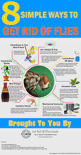 Want to know how to get rid of flies around the house? Pin On Tent Ideas And Resources