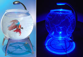 Maybe you would like to learn more about one of these? 13 Fish Bowl And Aquarium Design For Fish Lover Design Swan