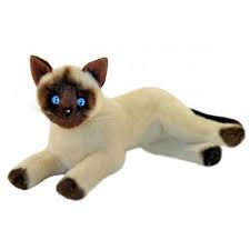 Pin On Stuffed Siamese