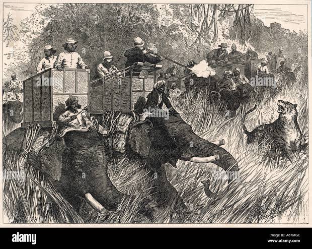 Edward, Prince of Wales, hunting tiger during his state visit to India in 1876. Artist: Unknown Stock Photo - Alamy
