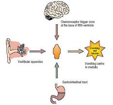Nausea Symptoms Causes Diagnosis Nausea Treatment