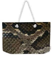 Fer-de-lance #1 Tapestry by Mark Newman