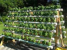 It's getting cold out there. Build An Efficient A Frame Hydroponic System Your Projects Obn