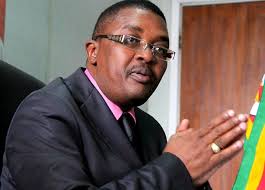 Zimbabwe President Emmerson Mnangagwa Faces Protests and Internal Challenges