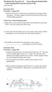 That's why we have entry tests for all applicants who want to work for us. Worksheet For Exercise 14 Unraveling The Double Helix Chegg Com