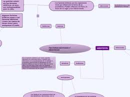 Los factores bióticos son todos los organismos vivos que interactúan con otros organismos vivos, refiriéndonos a la fauna y la flora de un lugar específico, así como también a sus interacciones. Factores Bioticos Y Abioticos Carte Mentale