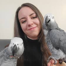 Working in social media marketing at tech companies has been a crash-course  in project management, operations, communications and time management. I  love how fast-paced the industry is and how I've been able