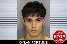 Dylan Fortune :...
