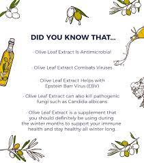 However, there are various factors that can disrupt the amount of rest you're able to get during typical nighttime sleep hours. How To Use Olive Leaf Extract Bridgit Danner Functional Health Coach Detox Expert