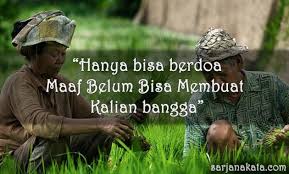 Kumpulan Kata Kata Buat Orang Tua Paling Bermakna Dan Bikin Terharu Sarjana Kata