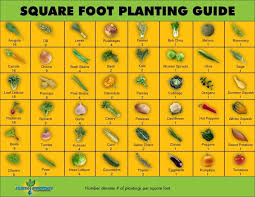 Square Foot Planting Guide Edible Garden Raised Garden