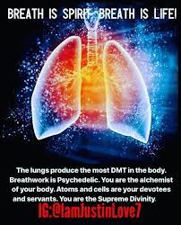 Pin By Tanya Wynn On Spiritual Oneness Manifesting Dreams Mind Body Spirit Spirituality