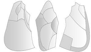 Naledi hand remains were compared with the morphology of the original fossils of a. Aufgabe Abitur Homo Naledi Evolution Stammbaum Klausur Its Shoulders Hips And Torso Hark Back To Earlier Ancestors While Its Lower Body Shows More Humanlike Adaptations Wesopoae