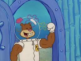 Maybe you would like to learn more about one of these? Spongebob Wallpaper Spongebob And Sandy Sandy Cheeks