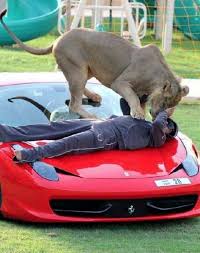 There Is No Other Place In The World Like Dubai Ferrari 458 Italia Ferrari 458 Animals