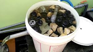 Sirkulasi Filter Kolam Sederhana Youtube