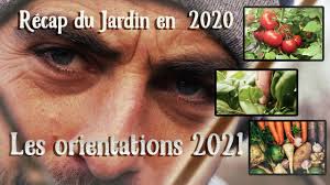 Supprimer Ou Ne Pas Supprimer Les Gourmands De Mes Tomates Youtube