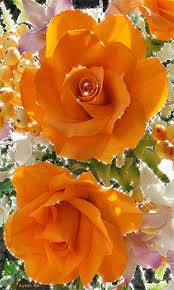 Check spelling or type a new query. Rose Mobile Screensavers Available For Free Download Rose Flower Wallpaper Flower Wallpaper Beautiful Rose Flowers