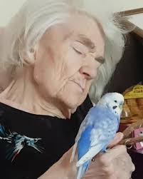 The Round Up Archives