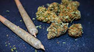 Krokodil als droge gibt es eigentlich gar nicht. Marihuana Die Risiken Und Wirkungen Der Illegalen Droge