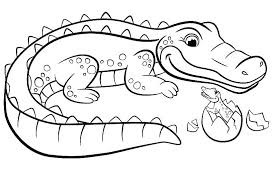 Crocodile And Hatched Egg Baby Coloring Page Free Printable Coloring Pages For Kids
