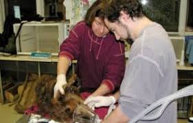 Bob Sallinger: 30 Years at Bird Alliance of Oregon