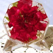 Maybe you would like to learn more about one of these? Aurora Preserved Flowers Florists 7201 Westside Saginaw Rd Bay City Mi Phone Number Yelp