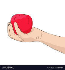 Hand Holding Red Apple Royalty Free Vector Image