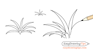 Some great easy drawings and easy things to draw. Beginner Guide To Learning To Draw Easydrawingtips