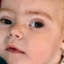 Fundraiser for Gretchen Gilmore by Nina Barrera : Everleigh Paige