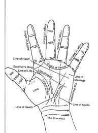 Diagram Of Hand Palmistry Palmistry Indian Palmistry