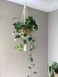 Macrame Plant Hanger Hanging Planter Bridesmaid Gift Boho Decor Modern Farmhouse Birthday Decorazioni Arredamento