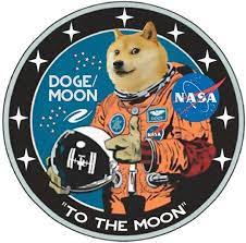 Will Dogecoin Succeed A Deeper Look Into Cryptocurrencies Doge Crypto Coin Cryptocurrency