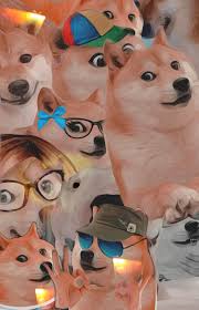 Collection by know your meme • last updated 3 hours ago. Little Wallpaper I Threw Together R Dogelore Ironic Doge Memes Know Your Meme