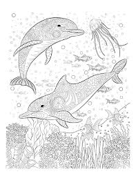 Our coloring tribe of five amazing artists has once again come together to create 5 gorgeous ocean themed coloring pages for you. Pin On Learning Draw Painting