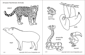 We did not find results for: Amazon Jungle Or Rainforest Animals Free Printable Templates Coloring Pages Firstpalette Com